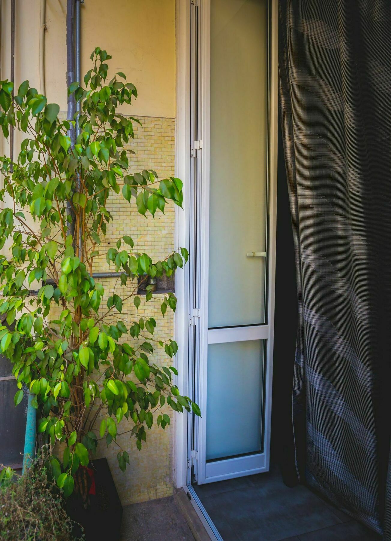 Domus Alberti Bed & Breakfast Rome Exterior photo