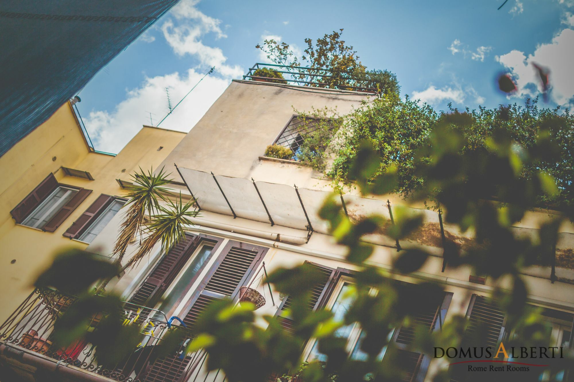 Domus Alberti Bed & Breakfast Rome Exterior photo